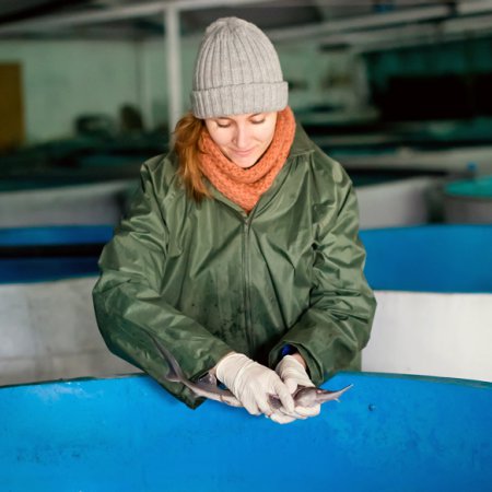 Aquaculture technician