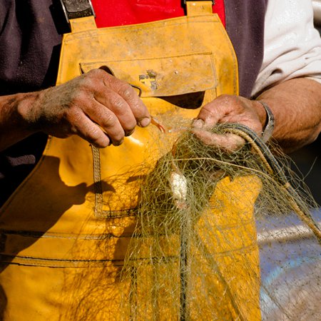 Professional fisherman/fisherwoman